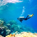 Female,Scuba,Diver,Swimming,Under,Water