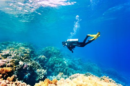 Female,Scuba,Diver,Swimming,Under,Water