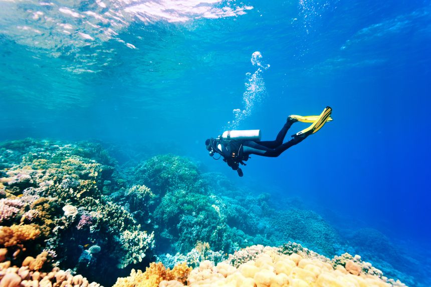 Female,Scuba,Diver,Swimming,Under,Water